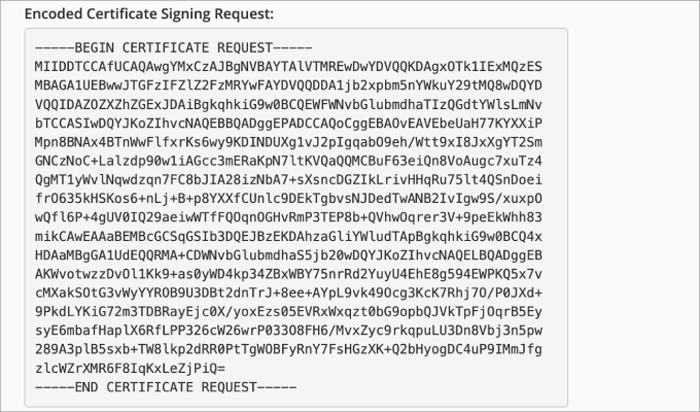 كيفية تجديد شهادة SSL (خطوة بخطوة للمبتدئين) 10 encoded CSR