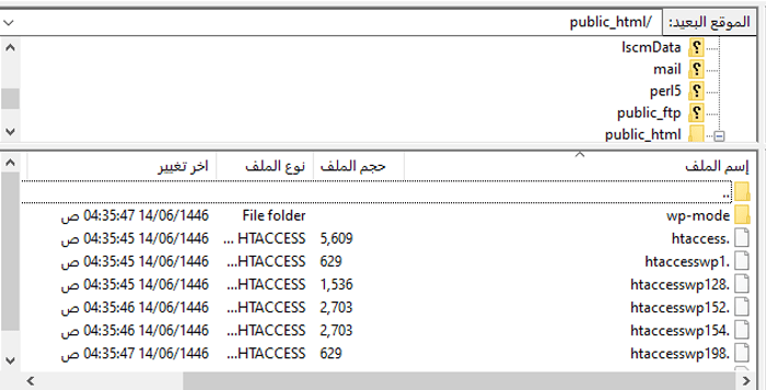 كيفية إصلاح مشكلة توقف ووردبريس في وضع الصيانة (الطريقة السهلة) 2 access public html folder