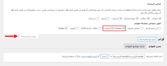 كيفية إضافة أيقونات الصور إلى ووردبريس في قوائم التنقل 19 enabling custom css