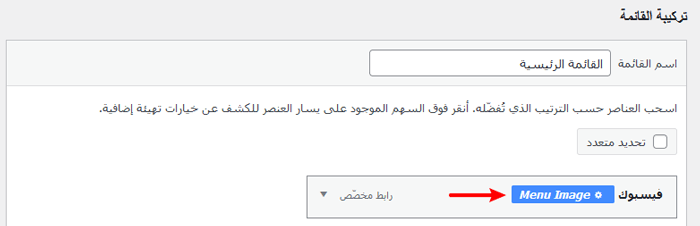 كيفية إضافة أيقونات الصور إلى ووردبريس في قوائم التنقل 29 menu image social