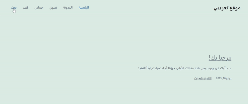 كيفية إضافة عناصر مخصصة إلى قوائم ووردبريس المحددة 4 البحث في قائمة التنقل