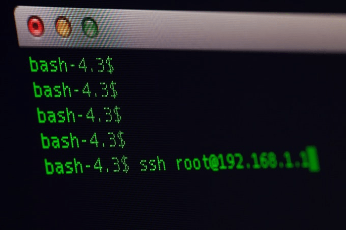 كيفية استخدام PuTTY SSH في ووردبريس 1 puttysshcommand