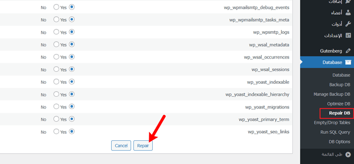 كيفية إصلاح قاعدة بيانات ووردبريس (6 طرق سهلة) 10 selectdbtablestorepair
