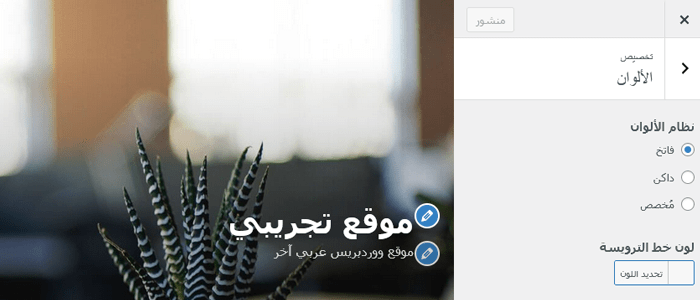 كيفية استخدام أداة تخصيص قالب ووردبريس مثل المحترفين (الدليل النهائي) 5 change colors on your website