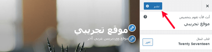 كيفية استخدام أداة تخصيص قالب ووردبريس مثل المحترفين (الدليل النهائي) 15 publish wordpress customizer settings