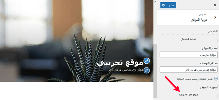 كيفية استخدام أداة تخصيص قالب ووردبريس مثل المحترفين (الدليل النهائي) 4 إعدادات هوية الموقع لتغيير عنوان الموقع والشعار والأيقون المفضلة