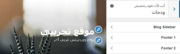 كيفية استخدام أداة تخصيص قالب ووردبريس مثل المحترفين (الدليل النهائي) 9 widgets panel