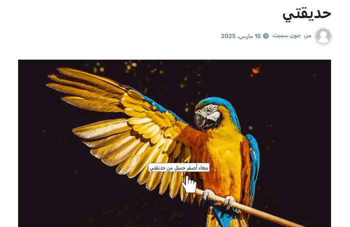 نص الصورة البديل وعنوان الصورة في ووردبريس: ما الفرق؟ 2 صورة مع نص العنوان