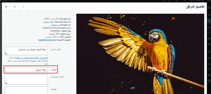 نص الصورة البديل وعنوان الصورة في ووردبريس: ما الفرق؟ 8 اضافة عنوان الصورة في مكتبة الوسائط ووردبريس