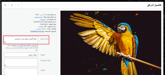 نص الصورة البديل وعنوان الصورة في ووردبريس: ما الفرق؟ 7 عرض أو تحرير النص البديل لصورتك في مكتبة الوسائط ووردبريس