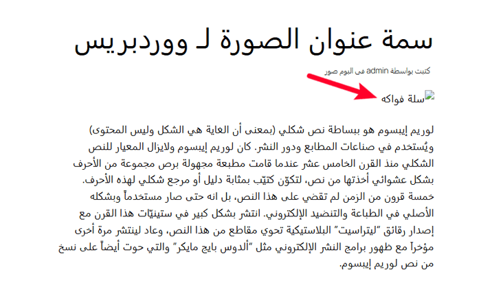 أين يقوم ووردبريس بتخزين الصور على موقعك؟ 7 مسار الصورة المكسورة