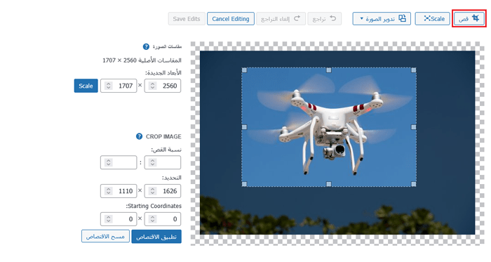 كيفية إجراء التحرير الأساسي للصور في ووردبريس (القص، التدوير، التدرج، الانعكاس) 1 crop image