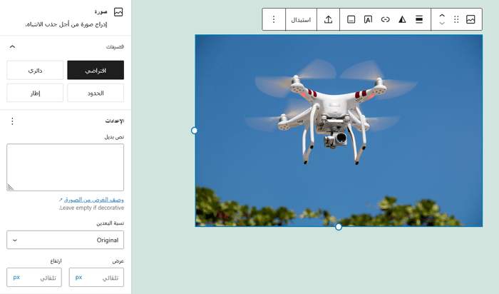كيفية إصلاح مشكلات الصور الشائعة فى ووردبريس (الدليل النهائي) 4 معاينة الصورة