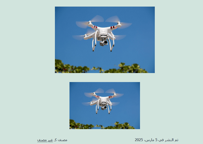 كيفية إصلاح مشكلات الصور الشائعة فى ووردبريس (الدليل النهائي) 17 الصورة المميزة تظهر مرتين