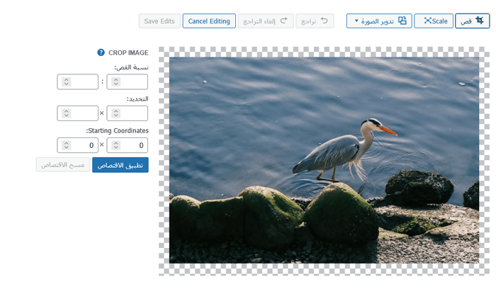 ما هي الوسائط في ووردبريس؟ 2 صفحة "تعديل الصورة" في ووردبريس