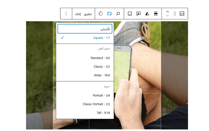 كيفية إصلاح مشكلات الصور الشائعة فى ووردبريس (الدليل النهائي) 21 تحديد نسبة العرض إلى الارتفاع في شريط أدوات كتلة الصورة