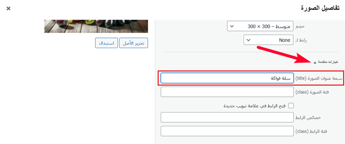كيفية إضافة سمة عنوان إلى الصور في ووردبريس بسهولة (طريقتان) 9 حقل سمة عنوان الصورة