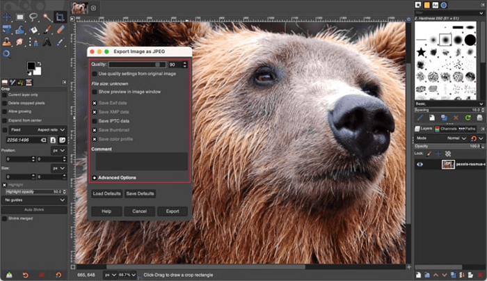 كيفية تحسين الصور لتحسين أداء الويب دون فقدان الجودة 5 تصدير صورة في GIMP