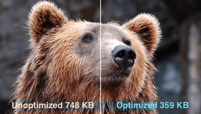 كيفية تحسين الصور لتحسين أداء الويب دون فقدان الجودة 1 الصور المحسنة وغير المحسنة في ووردبريس