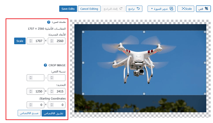 كيفية إجراء التحرير الأساسي للصور في ووردبريس (القص، التدوير، التدرج، الانعكاس) 8 مقياس الصورة