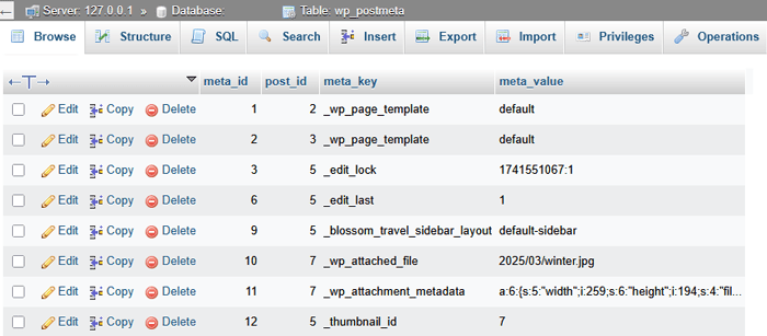 أين يقوم ووردبريس بتخزين الصور على موقعك؟ 6 attachment metadata