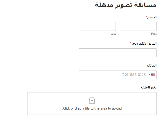 أين يقوم ووردبريس بتخزين الصور على موقعك؟ 15 معاينة نموذج رفع الملف