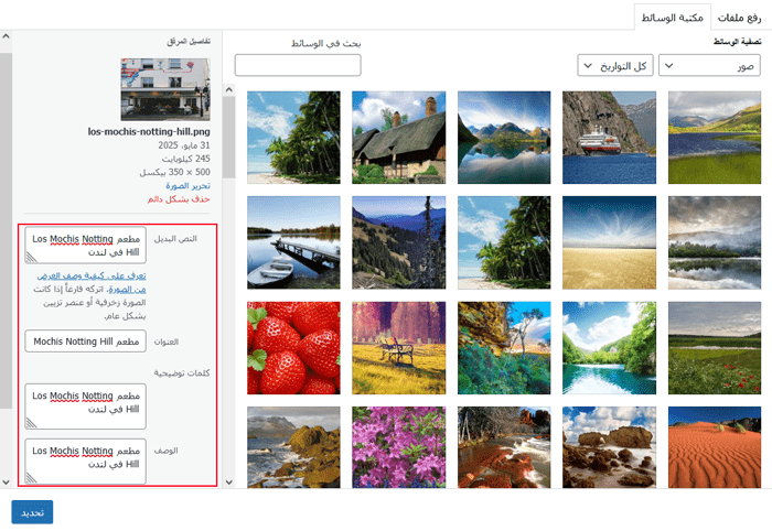 كيفية إضافة الصور بشكل صحيح في ووردبريس (خطوة بخطوة) 3 املأ تفاصيل الصورة