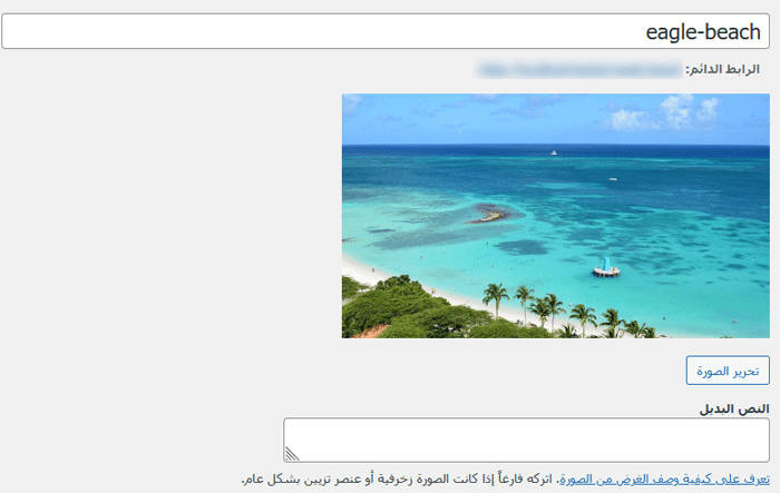 كيفية إضافة الصور بشكل صحيح في ووردبريس (خطوة بخطوة) 11 انقر فوق زر تحرير الصورة