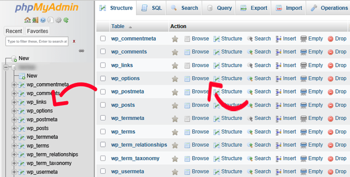 كيفية نقل ووردبريس من سيرفر محلي إلى موقع مباشر 22 تصفح جدول wp options