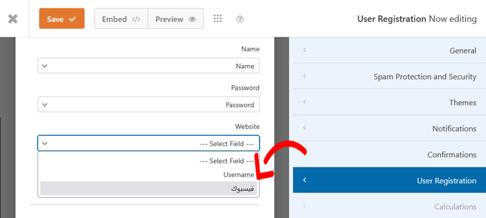 كيفية إنشاء نموذج تسجيل مستخدم مخصص في ووردبريس 17 اختر الحقل المخصص من القائمة المنسدلة للموقع الإلكتروني
