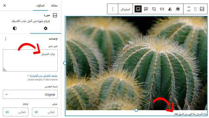 دليل المبتدئين لـ سيو الصور: تحسين الصور لمحركات البحث 5 إضافة نص بديل وتسمية توضيحية إلى صورة في ووردبريس