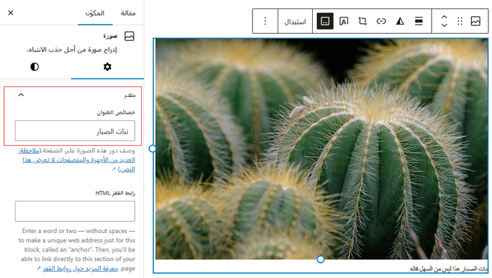 دليل المبتدئين لـ سيو الصور: تحسين الصور لمحركات البحث 6 إضافة عنوان للصورة في محرر الكتل