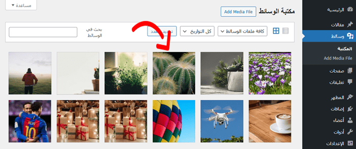 دليل المبتدئين لـ سيو الصور: تحسين الصور لمحركات البحث 7 مكتبة الوسائط ووردبريس
