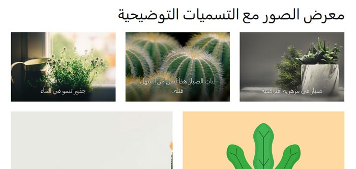 دليل المبتدئين لـ سيو الصور: تحسين الصور لمحركات البحث 9 معرض الصور مع التسميات التوضيحية لكل صورة