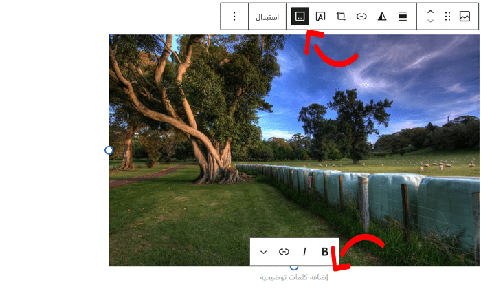 كيفية إضافة تسمية توضيحية للصور في ووردبريس (دليل المبتدئين) 4 زر تسمية توضيحية للصورة في ووردبريس