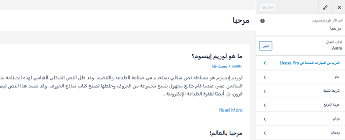 كيفية عرض النسخة المحمولة من مواقع ووردبريس من سطح المكتب 2 خيارات العرض في مخصص القالب