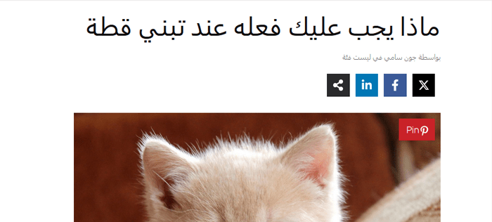 كيفية إضافة أزرار المشاركة الاجتماعية في ووردبريس (4 طرق سهلة) 23 مثال على زر Pin الخاص بـ Pinterest مع Novashare