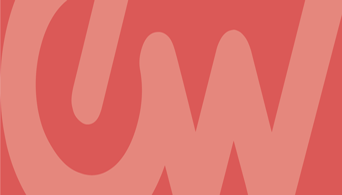 20+ إضافات ووردبريس رائعة لإدارة الصور 12 Easy Watermark