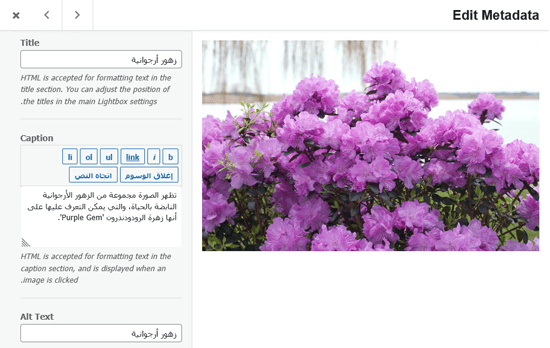 كيفية إنشاء معرض صور في ووردبريس (خطوة بخطوة) 13 تحرير بيانات تعريف صورة المعرض