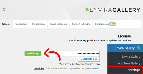كيفية إنشاء معرض صور في ووردبريس (خطوة بخطوة) 10 أضف مفتاح ترخيص Envira Gallery