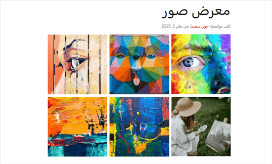 كيفية إنشاء معرض صور في ووردبريس (خطوة بخطوة) 9 معاينة معرض الصور