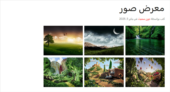 كيفية إنشاء معرض صور في ووردبريس (خطوة بخطوة) 2 معاينة معرض الصور في ووردبريس باستخدام كتلة المعرض الافتراضية