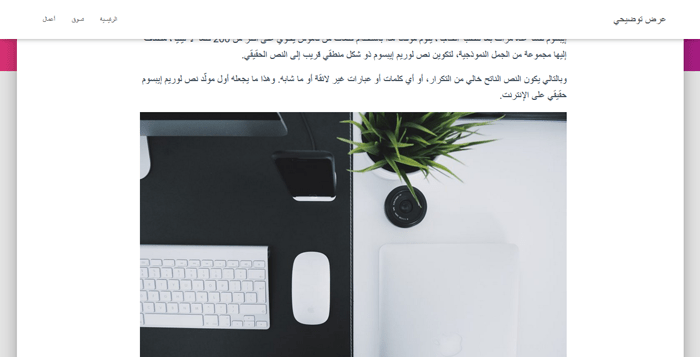 دليل المبتدئين لـ: أحجام الصور في ووردبريس (+ أفضل الممارسات) 4 صورة في تخطيط عمود واحد