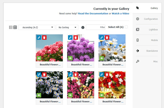 كيفية إنشاء معرض صور في ووردبريس (خطوة بخطوة) 12 الصور في Envira Gallery