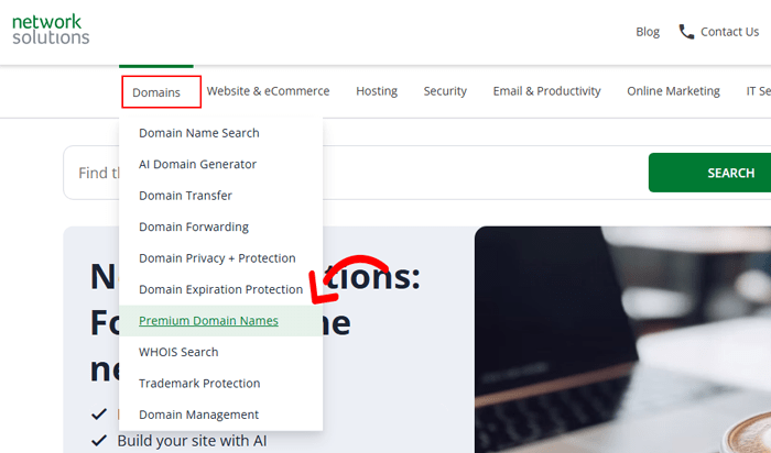 أفضل 7+ أماكن للعثور على اسم دومين بريميوم للبيع (+ نصائح الخبراء) 2 Network Solutions أسماء دومينات بريميوم