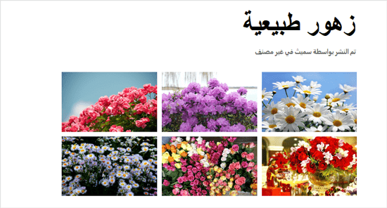 كيفية إنشاء معرض صور في ووردبريس (خطوة بخطوة) 19 معرض صور ووردبريس تم إنشاؤه باستخدام Envira Gallery