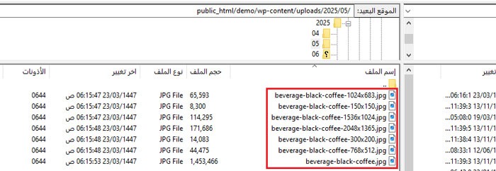 دليل المبتدئين لـ: أحجام الصور في ووردبريس (+ أفضل الممارسات) 2 نسخ تلقائية للصور بأحجام مختلفة