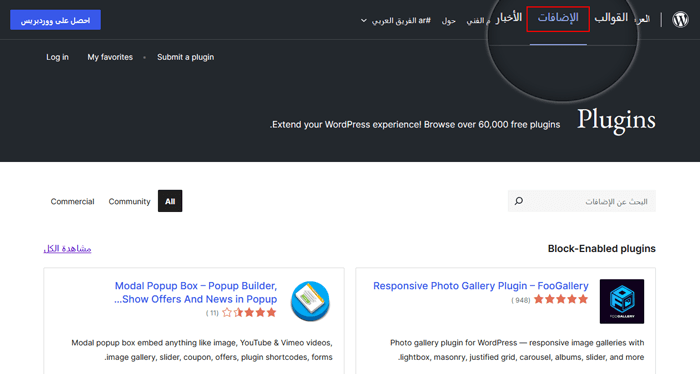 دليل المبتدئين: كيفية اختيار اضافة ووردبريس المناسبة 1 دليل اضافة ووردبريس