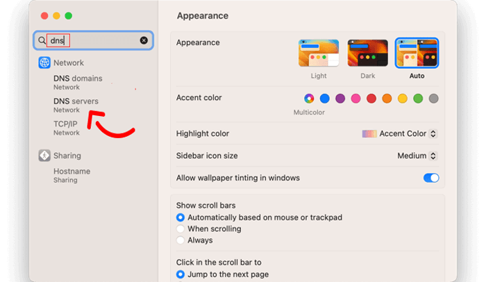 كيفية إصلاح خطأ ERR_CONNECTION_RESET في ووردبريس 11 في إعدادات نظام Mac، ابحث عن "DNS"
