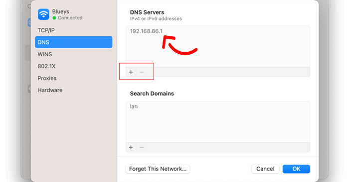 كيفية إصلاح خطأ ERR_CONNECTION_RESET في ووردبريس 12 سوف ترى عنوان خادم DNS الحالي الخاص بك